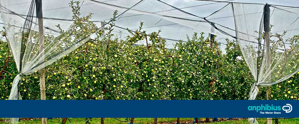 portada tipos de mangueras para riego agricola